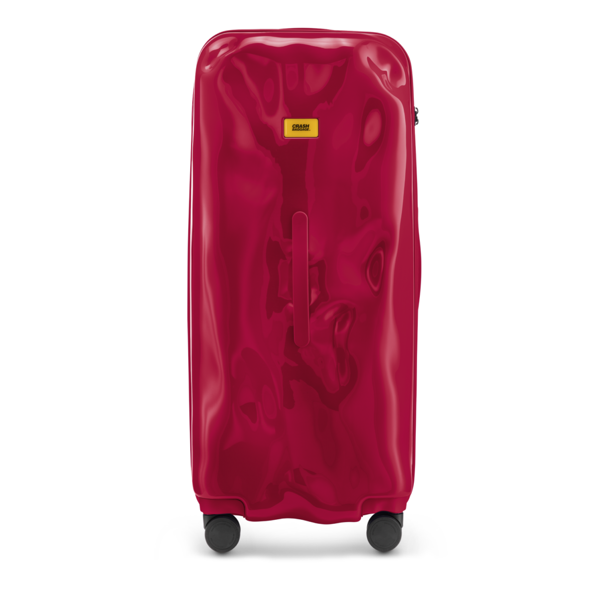 TRUNK LARGE