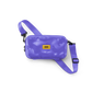MINI ICON