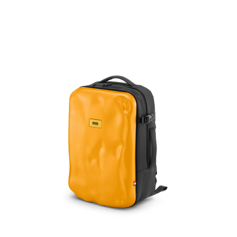 ICONIC BACKPACK