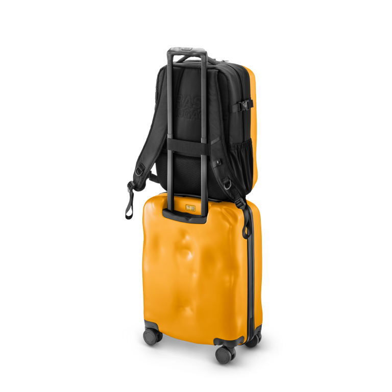 ICONIC BACKPACK