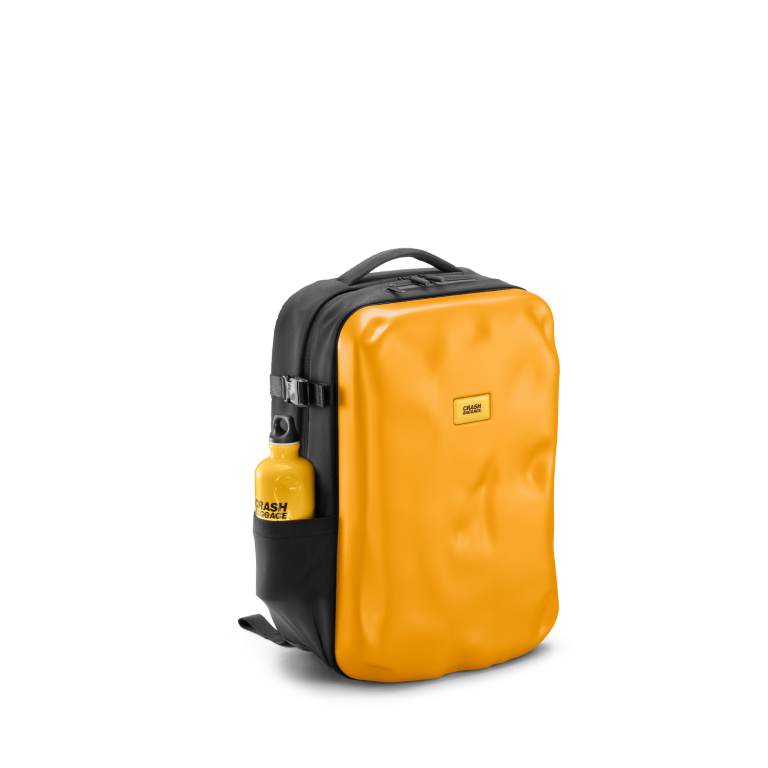 ICONIC BACKPACK