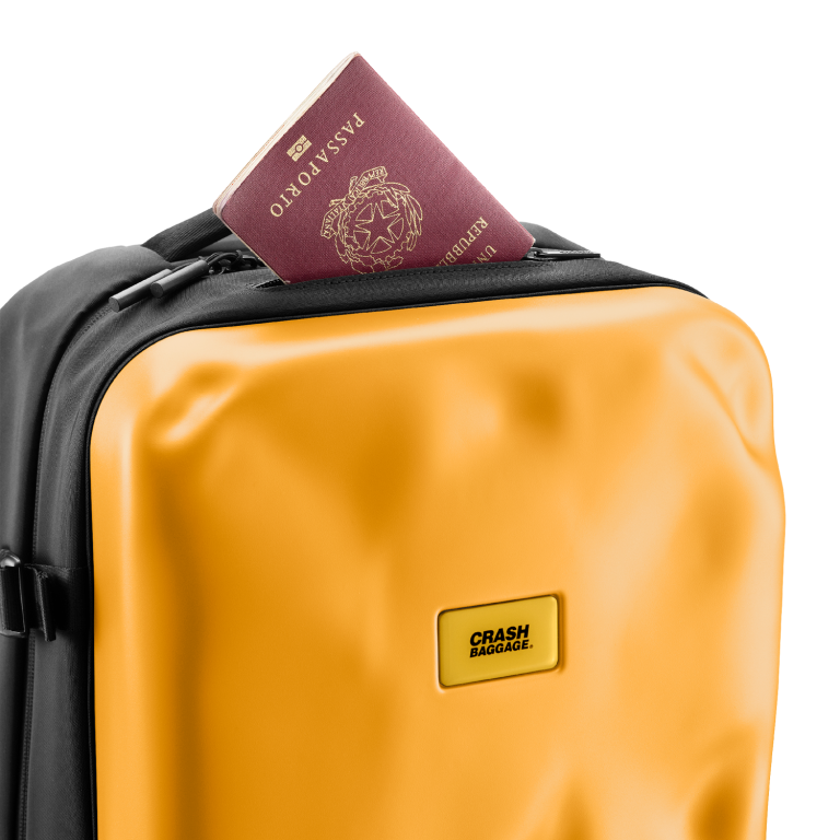 ICONIC BACKPACK
