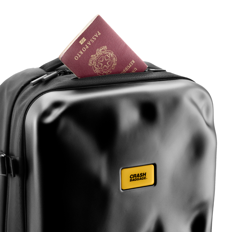 ICONIC BACKPACK