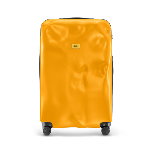 Petite valise TRANSPARENTE CRASH BAGAGE – Govaligo